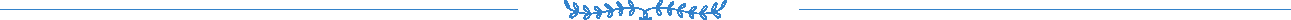 Divider Blue
