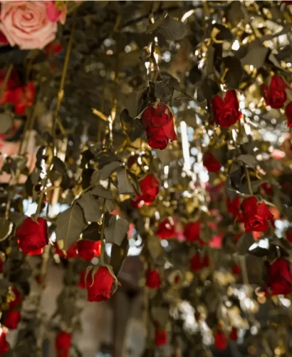 Roses Decoration